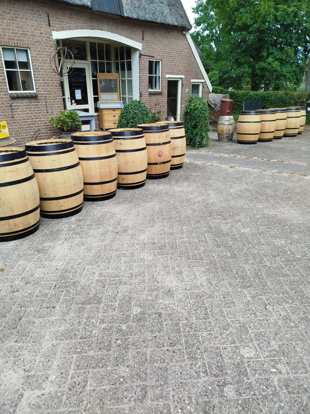 Wijnvaten & Houtdecoratie